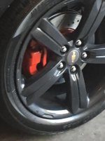 IMG_2147.jpg
