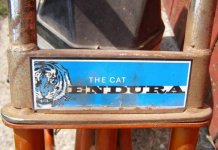 cat_endura_002.jpg