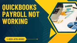 QuickBooks Payroll Not Working.jpg