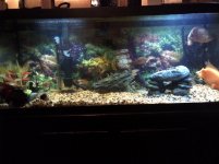 75%20New%20World%20tank.jpg