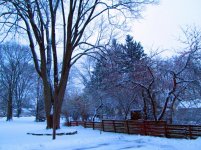 Winter Has Arrived.jpg