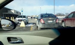 Black Sonic Spotted.jpg