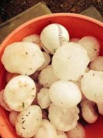 baseball-hail-bucket-jpg.jpg